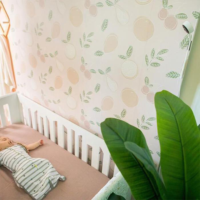Bbluv- Baby Monitor Videocamera WIFI