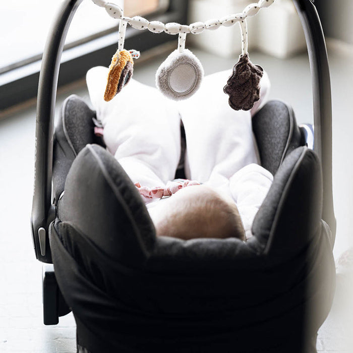 Pram Toy