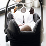 Pram Toy