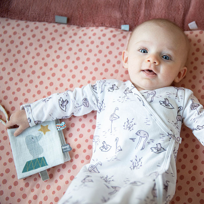 Buggy Booklet