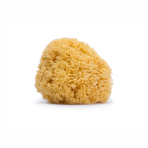 Suavinex - Natural sponge