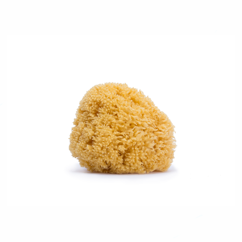 Suavinex - Natural sponge