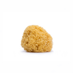 Suavinex - Natural sponge